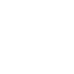 ZOOM-window