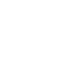funzionale-icon