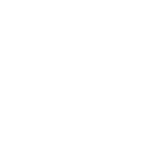 zoom-extention